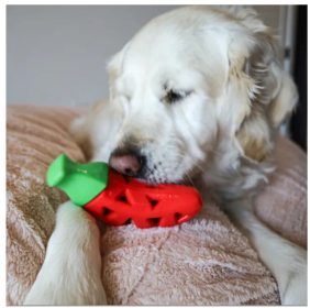Steel Dog - Slow Treater Chili Pepper