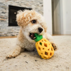 Steel Dog - Slow Treater Pineapple