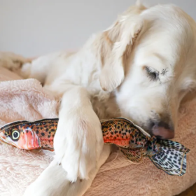 Steel Dog - Denim Rainbow Trout