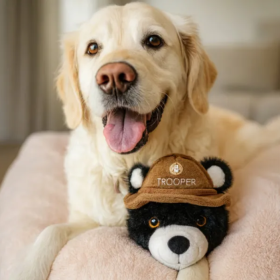 Steel Dog - Hero Trooper