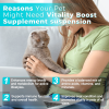 Vitality Boost Supplement Suspension for Dogs and Cats Natural Energy and Health Support Pet Wellness Liquid Formula
