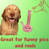 My Name is Harmony Bong, Funny Squeaky Weed Dog Toy, Cute Stuffed Parody Pot Bong, Cool Plush 420 Novelty Gift for Pets, Sized for Puppies & Small, Me