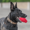 USA-K9 Grenade Shaped eDispenser Durable Dog Chew Toy & Treat Dispenser - Army Green