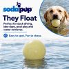 Glow in the Dark Glitter Ball 2-Pack Dog Toy | Soft PUP-X Rubber Floating Fetch Ball with Treat Dispenser | USA Made