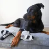 Steel Dog - Flat Bumpy Raccoon
