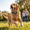 GPS Dog Training Collar IP67 Waterproof E Collar Remote Rechargeable Black