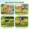 Platform Equipment Run Game Toy Wooden Dog Agility Seesaw for Balance Training and Exercise