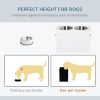 White Raised Pet Dining Station with Food Storage and Steel Bowls for Big Pups