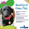 Cherry Pie Nylon Dog Chew Toy for Aggressive Chewers | USA Made | SodaPup