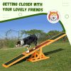Wooden Dog Agility Seesaw, Training and Exercise Equipment, Weather Resistant, 71" L, Natural