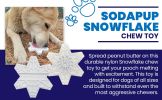Snowflake Nylon Dog Chew Toy for Aggressive Chewers | USA Made & FDA Compliant