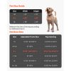 Dog Door for Sliding Glass Door, 91 to 96 in Adjustable Height, Aluminum Alloy Frame with Metal Rotating Hinges, Lock Design, 10 1/4 x 16 1/4 in Flap,
