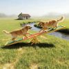 Platform Equipment Run Game Toy Wooden Dog Agility Seesaw for Balance Training and Exercise