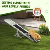 Dog Agility Equipment Wooden Seesaw White for Training and Exercise