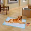 300 Pcs 17" x 24" Pet Wee Pee Piddle Pad
