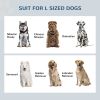 Elevated Dog Bowl Station with Storage Drawer 21L Capacity & 2 Stainless Bowls Gray