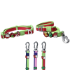 Christmas Themed Dog Collar and Leash Set, Waterproof PVC Pet Collar with Cute Charms for Small Medium Dogs