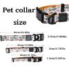 Trendy Printed PVC Dog Leash & Collar Set, Waterproof Durable Pet Lead with Unique Pattern, Adjustable for Small Medium Large Dogs