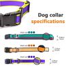 Waterproof Stain-Resistant Dog Collar, Green & Pink Color Block Pet Neck Strap, Adjustable Quick-Release Buckle, Comfortable No Choking, Traction Coll