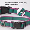 Waterproof Stain-Resistant Dog Collar, Green & Pink Color Block Pet Neck Strap, Adjustable Quick-Release Buckle, Comfortable No Choking, Traction Coll