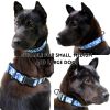 Trendy Printed PVC Dog Leash & Collar Set | Waterproof Heavy Duty Pet Lead