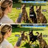 2-in-1 Dog Shock and Bark Collar Dog Training Collar with Remote 1/2/3 Collars(Options) Rechargeable IP68 Waterproof with 3 Channels for Medium and Sm