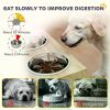 Elevated Dog Bowls(No shipments on weekends)